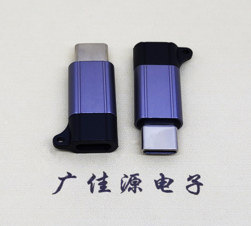 镇江Type-C母转Type-C公 USB3.1 PD100W快冲接口